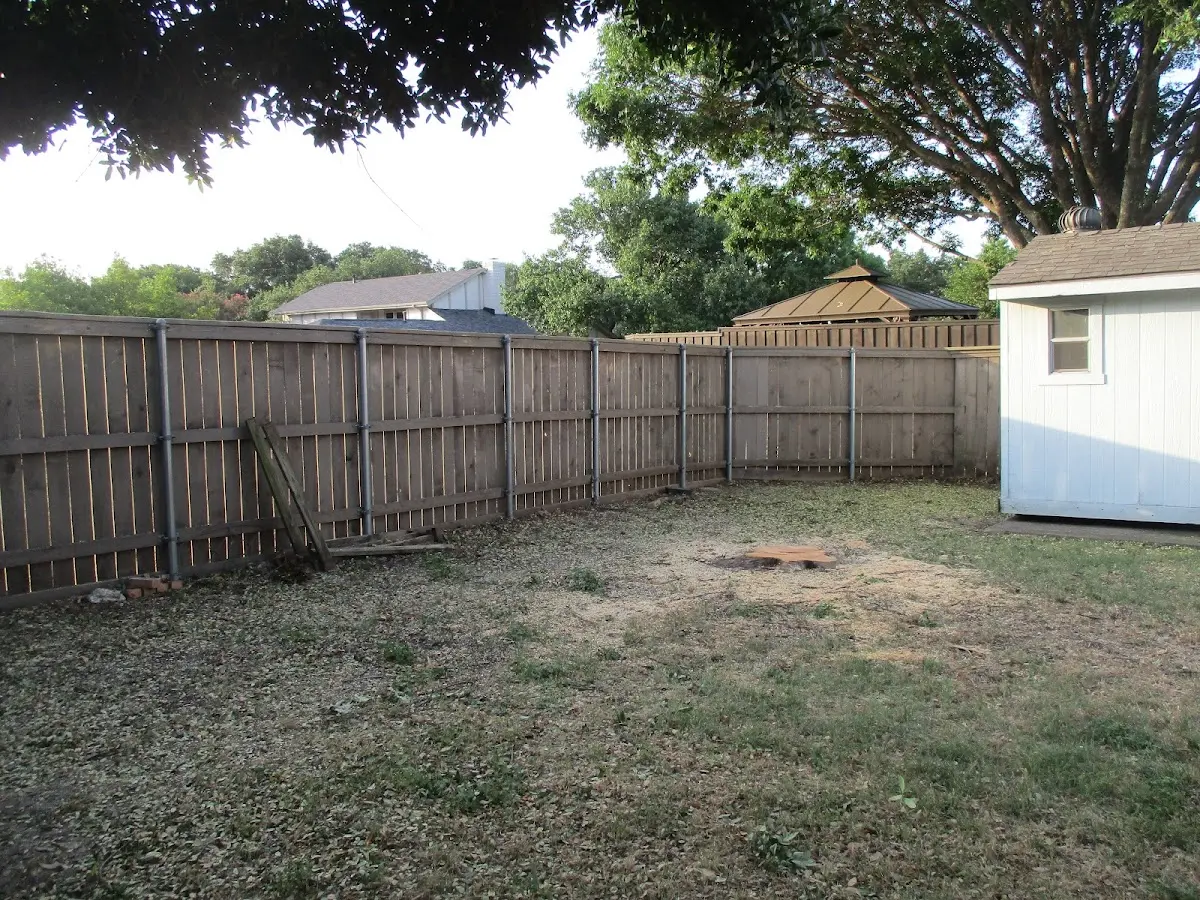 Cleared yard after professional tree removal in Portville